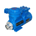 Magnetically coupled drive gear Pump for Chemical industrial